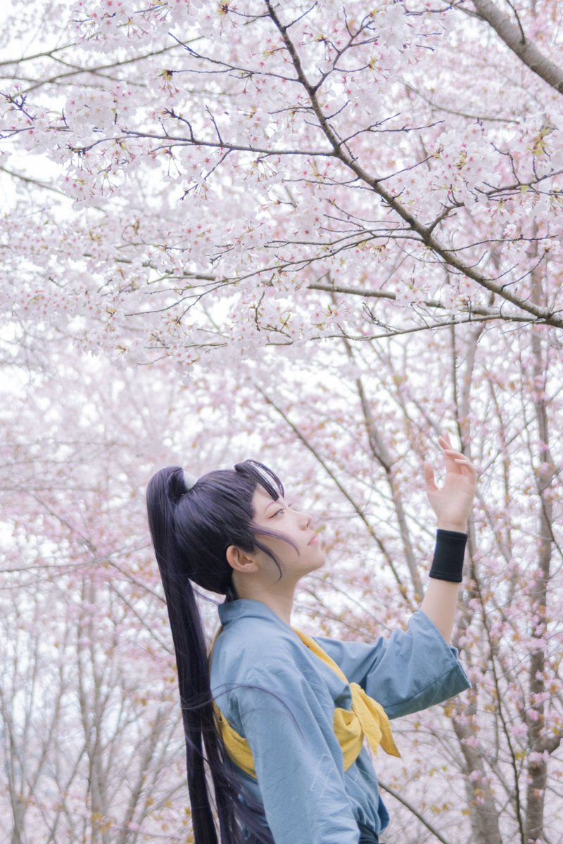 桜海 tweet media