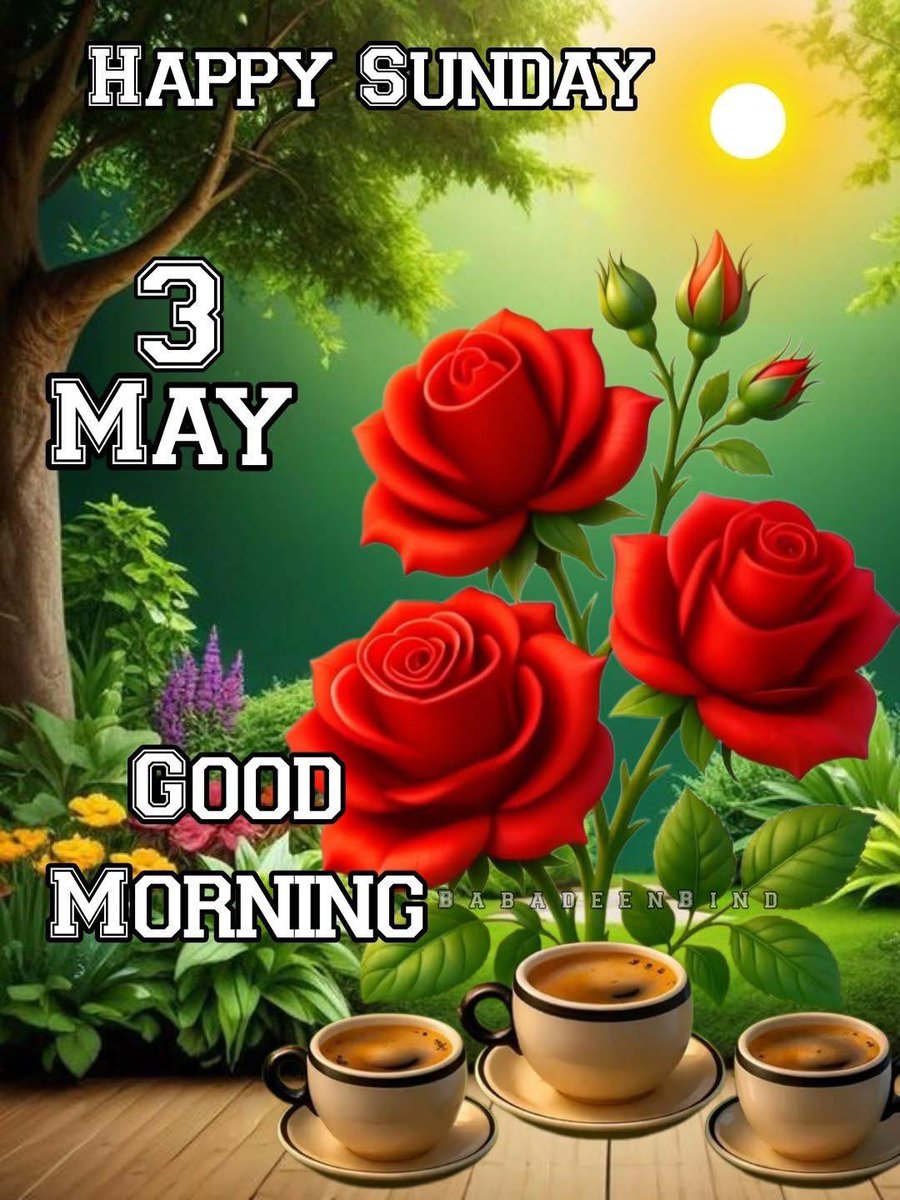 G12Rocco's tweet image. Good Sunday Morning from a very cold Spring Morning in North Carolina Brrr🥶Steady cold rain yesterday was much appreciated, Thank You Mother Nature🙏 Hope You All Have a Wonderful and Peaceful Sunday! #SundayMorning