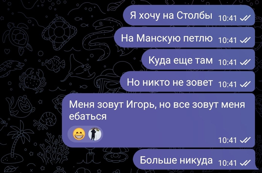 шайни tweet media
