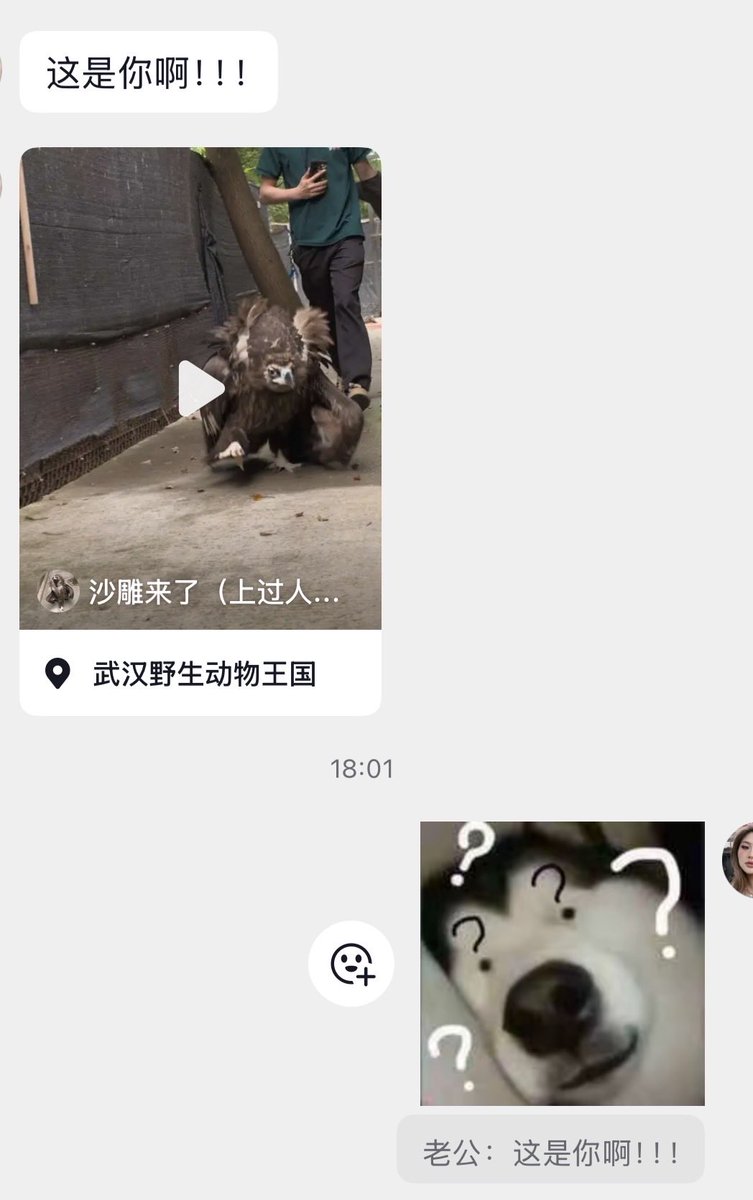 好无聊 tweet media
