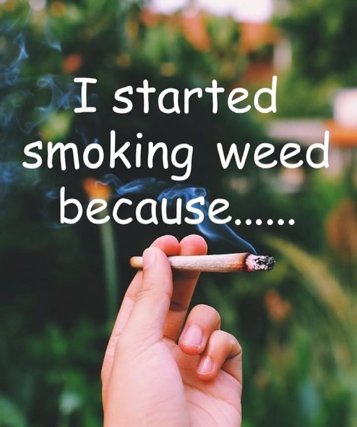 Artek Swaróg🌿💨🇵🇱 tweet media