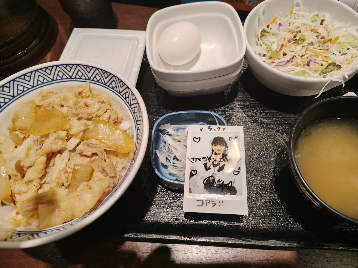 コアラ改 tweet media