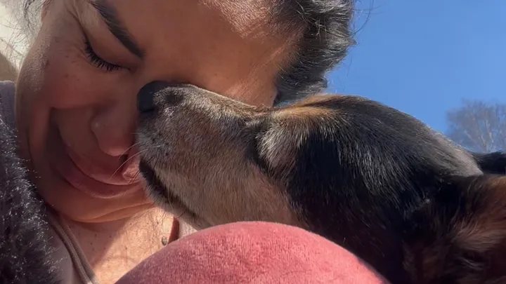 Nina e Arturo cercano aiuto (provincia di Como).
La storia ---> 
 gofund.me/3e0e6d1af
Tra ospedale e perdita del mio compagno, il mio cane Arturo è l’unico motivo per cui sono ancora qui...