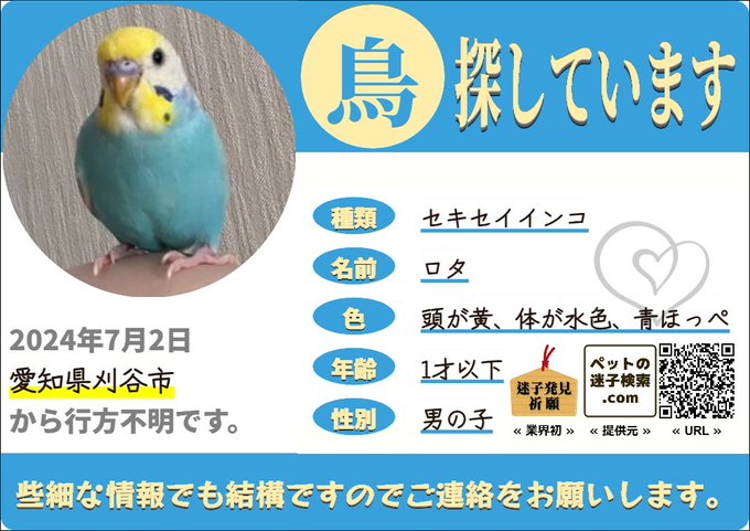 【分家】ペットの迷子検索.com tweet media