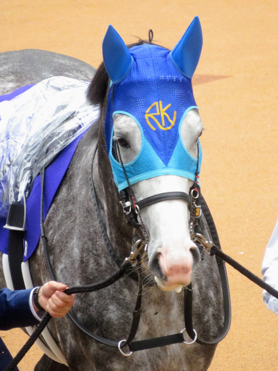 やまぴ🐎 tweet media