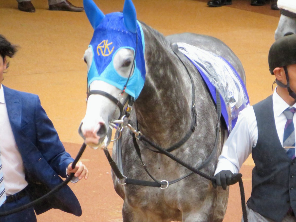 やまぴ🐎 tweet media