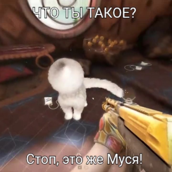 Сергей_Не_Разумовский 👾 tweet media