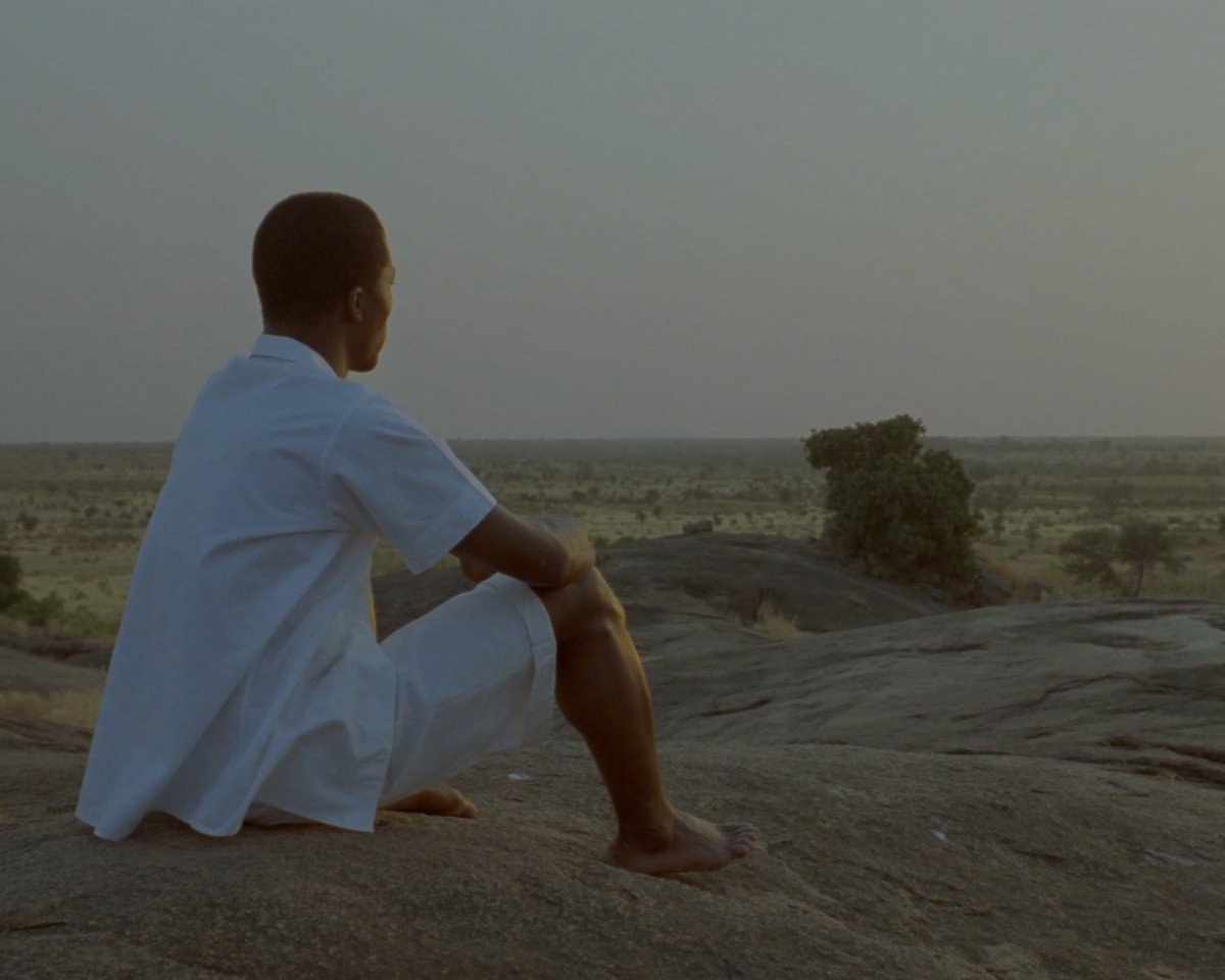 MUBI tweet media