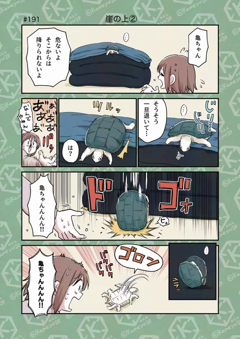 亀飼い漫画「崖の上」② 