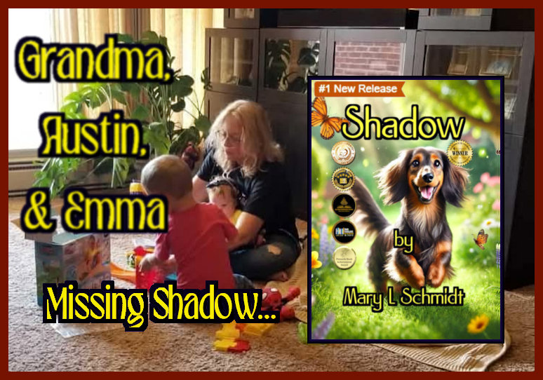Mary L Schmidt aka #SJackson tweet media