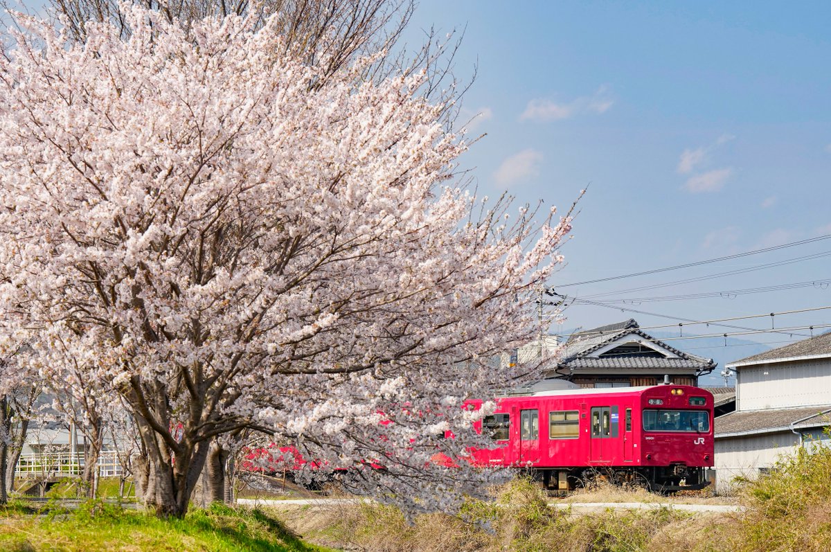 鉄道写真家　中井精也 tweet media