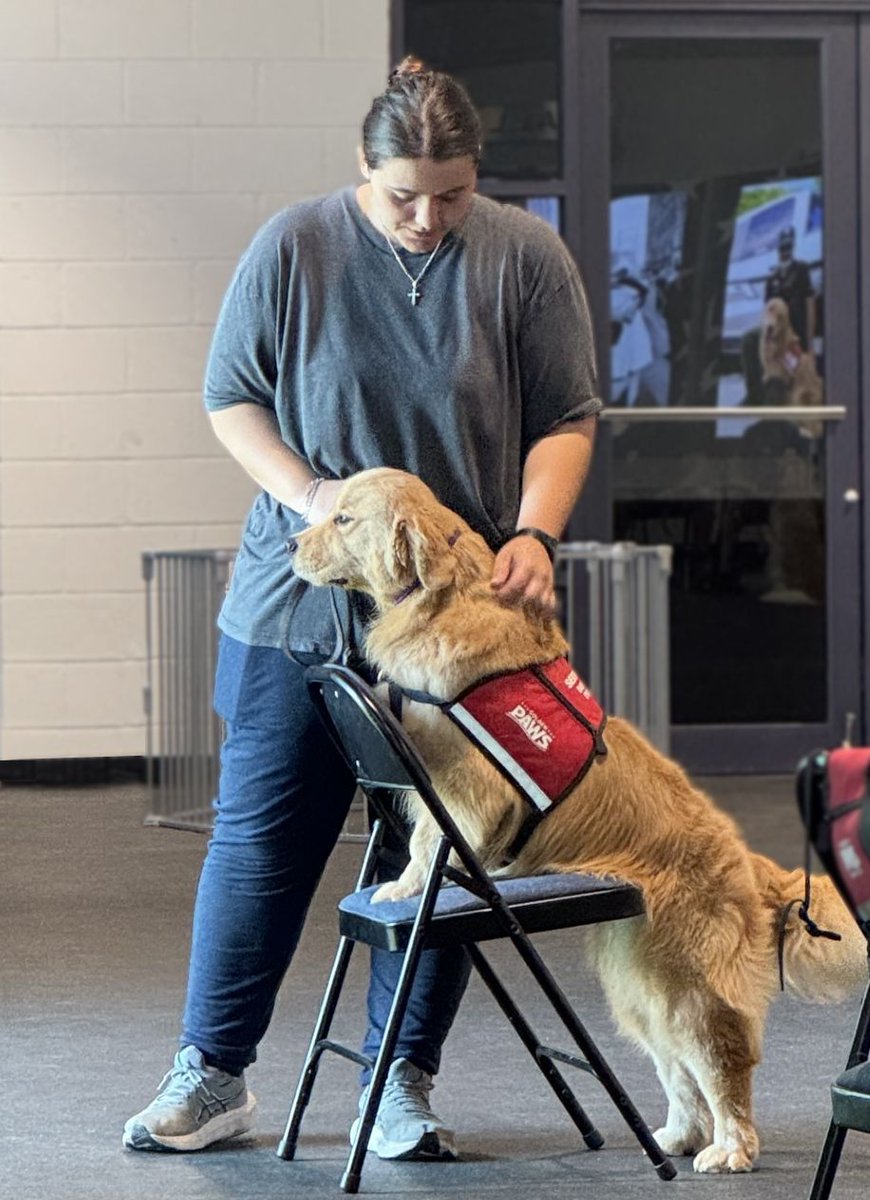 PAWSDogs_Naples's tweet photo. Behind every confident service dog is a team that shows up, day in and day out, with patience, consistency, and heart. ❤️🐾 

#GoldenPAWSAssistanceDogs #GoldenPAWS #ServiceDogsForVeterans #GiveADogAJob #GoldenJourney #RespectTheVest #GoldenRetriever https://t.co/GgFWk8KJsh