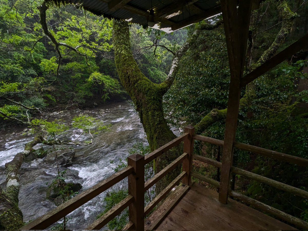 nomugi-松本産の旅人- tweet media