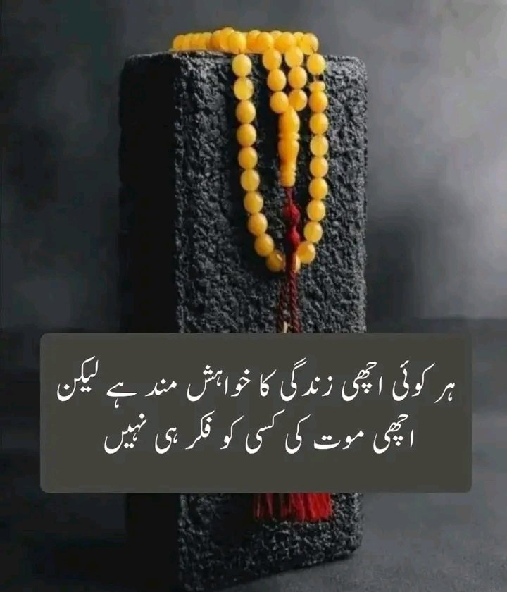 Anila sheikh tweet media
