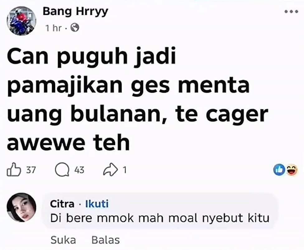 sunda struggle tweet media