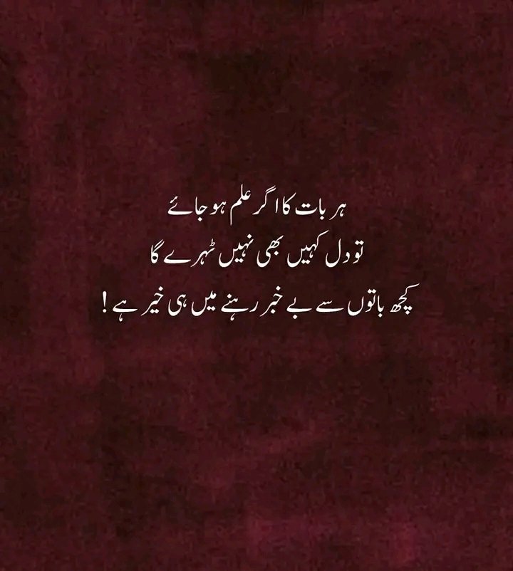 Anila sheikh tweet media
