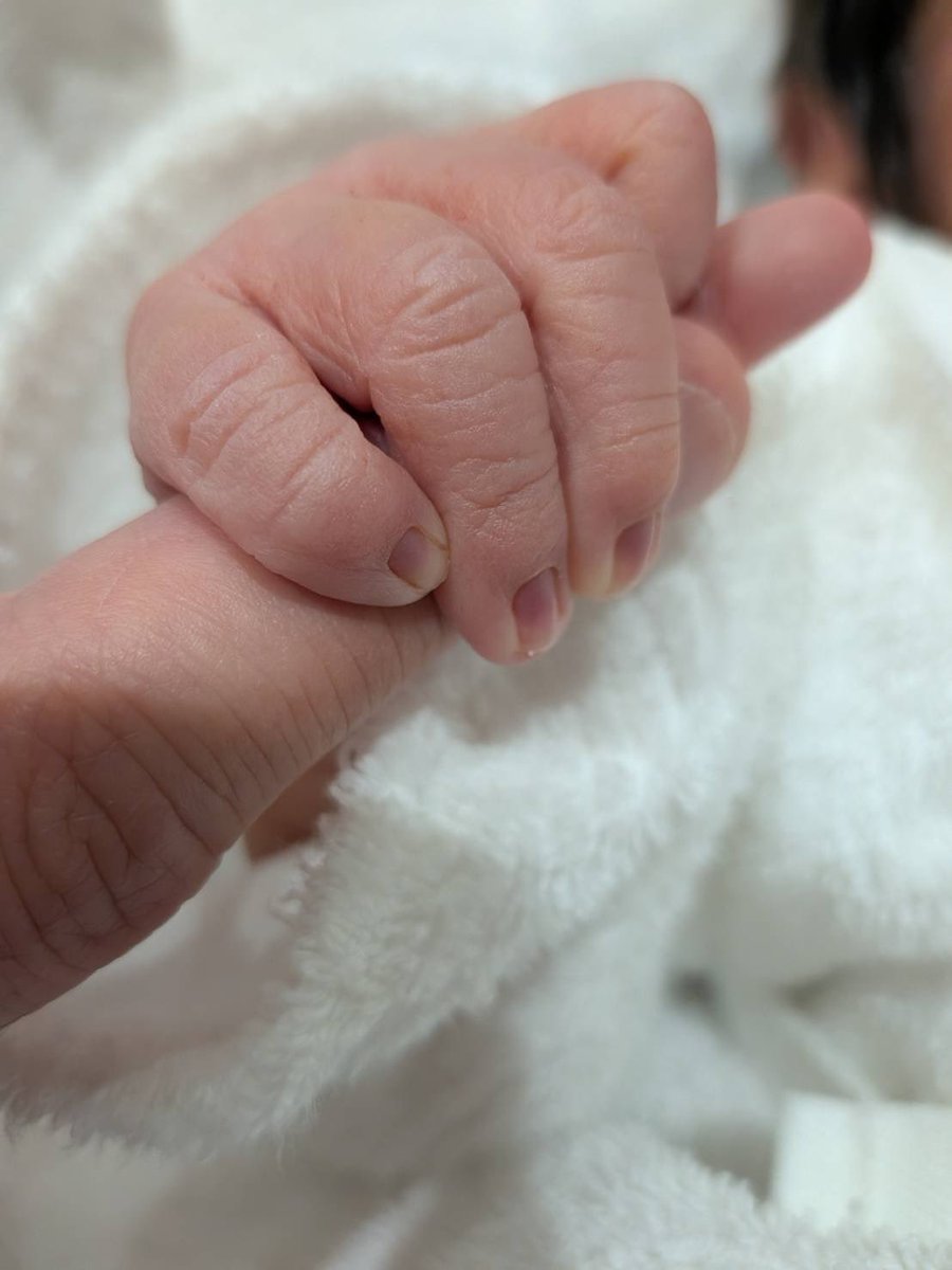 kucchy_26's tweet photo. 実は先日、無事に初の子供が誕生しました。 https://t.co/y7mzydPYzv