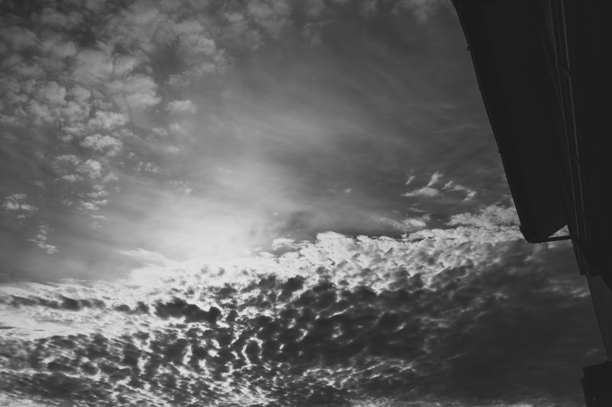 akabeko63's tweet image. #2469
#monochrome #モノクローム