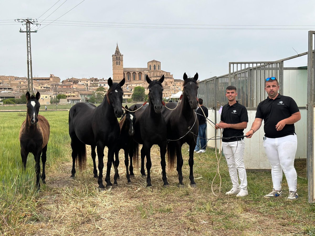 Conselleria d'Agricultura, Pesca i Medi Natural tweet media