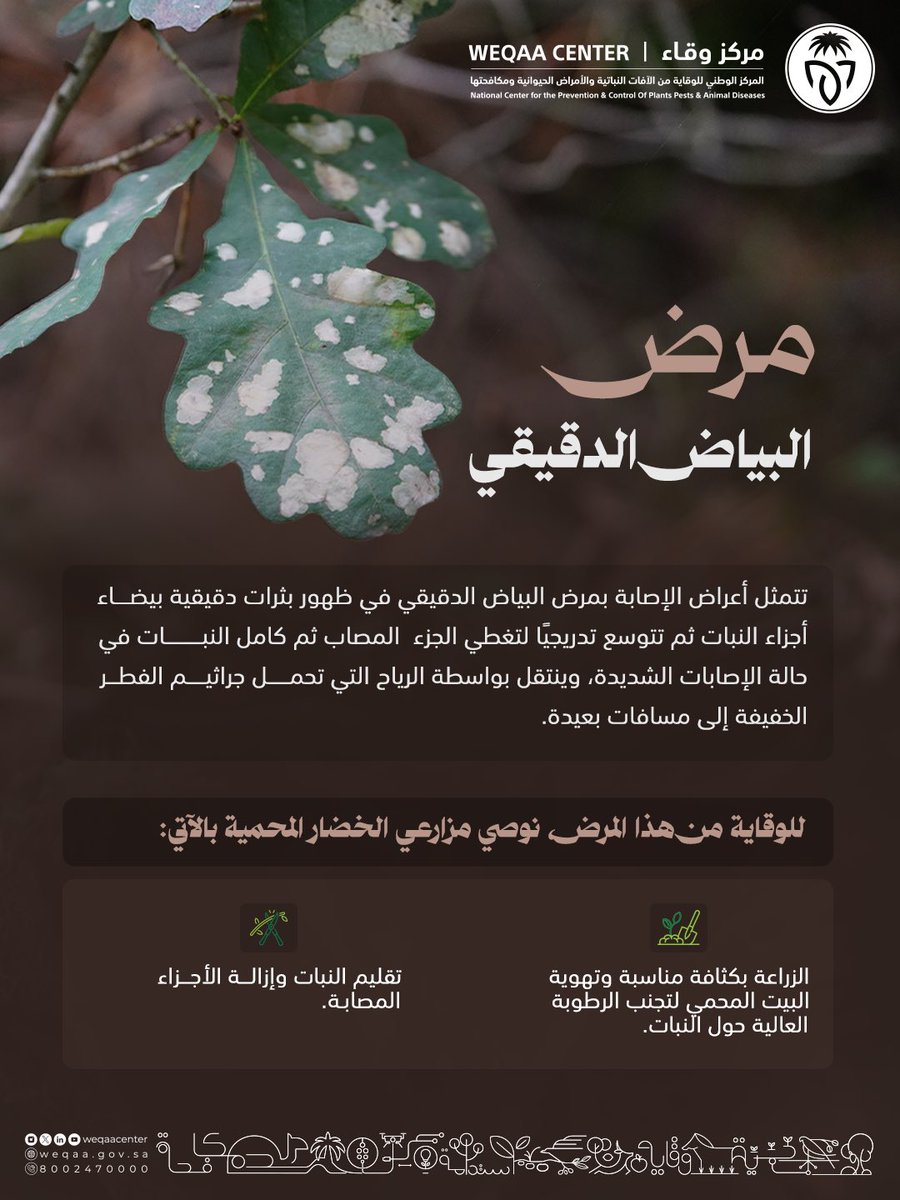 مركز وقاء tweet media
