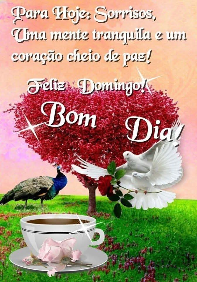 Jorge Monteiro tweet media