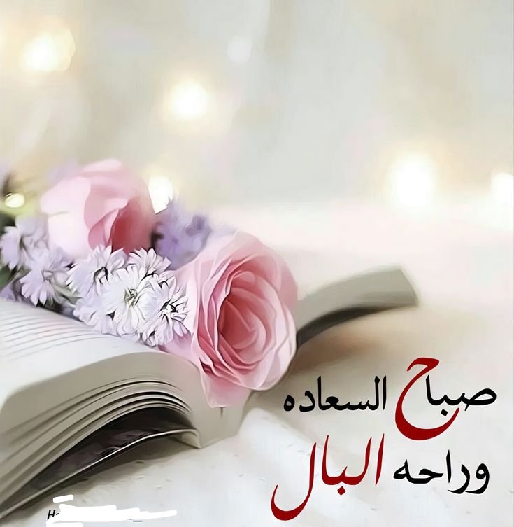 صمت وسكوت. tweet media