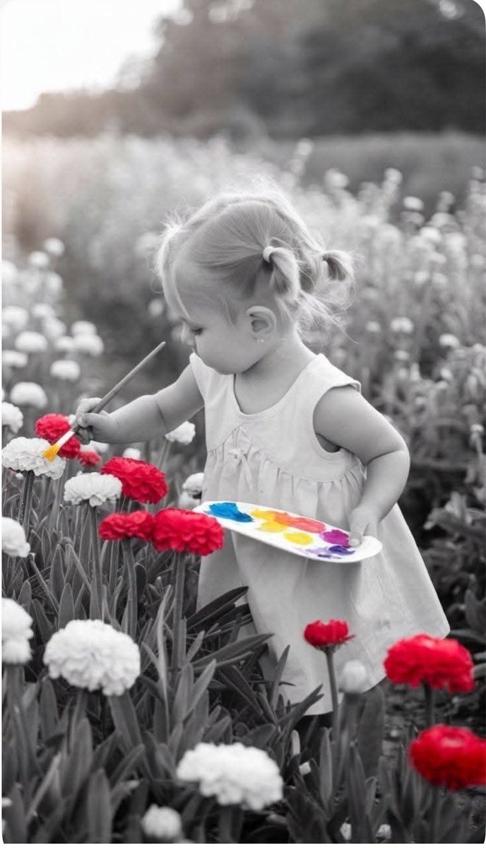 ‏﮼قارئة 📚Sh tweet media