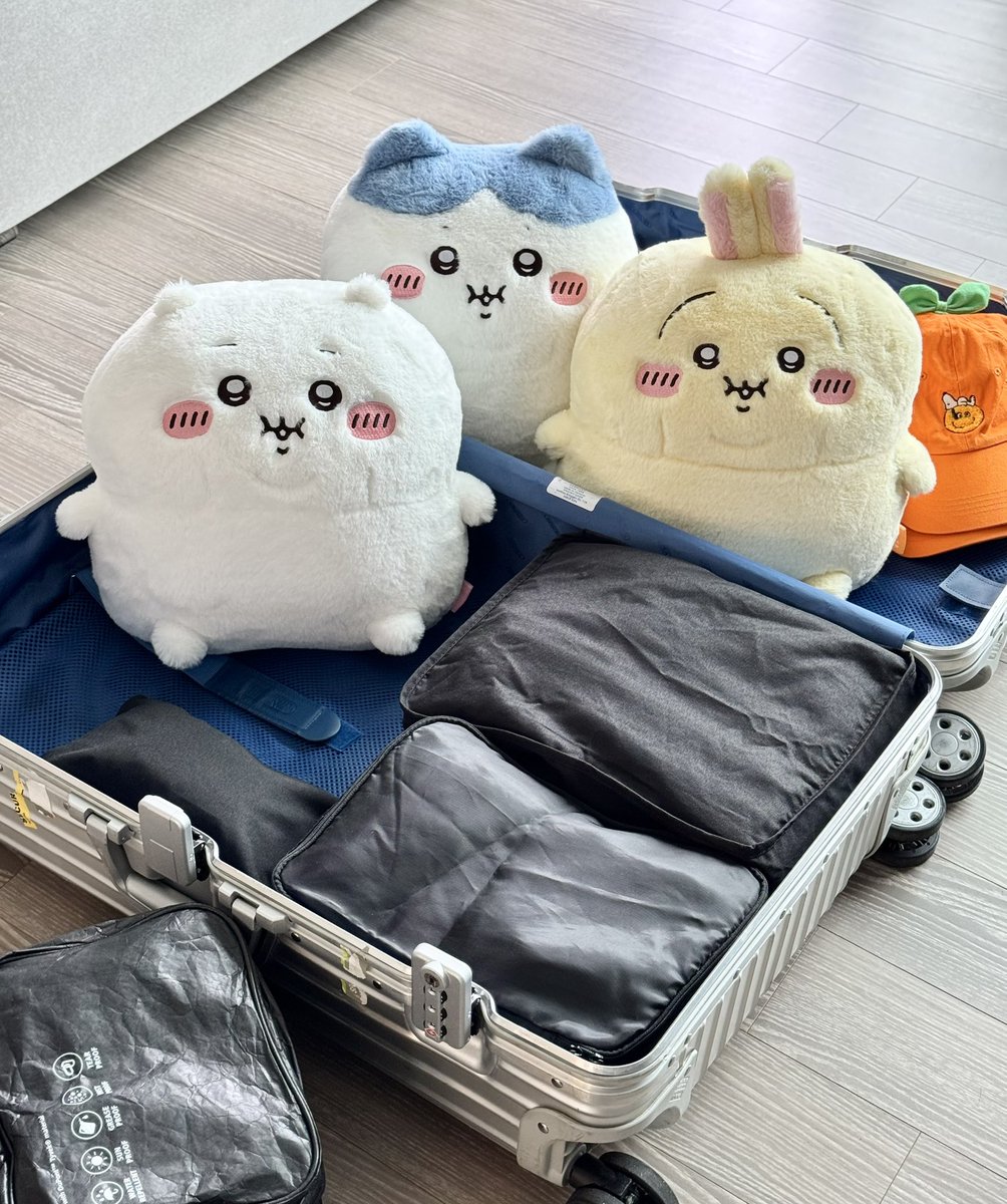 멜론곰 tweet media