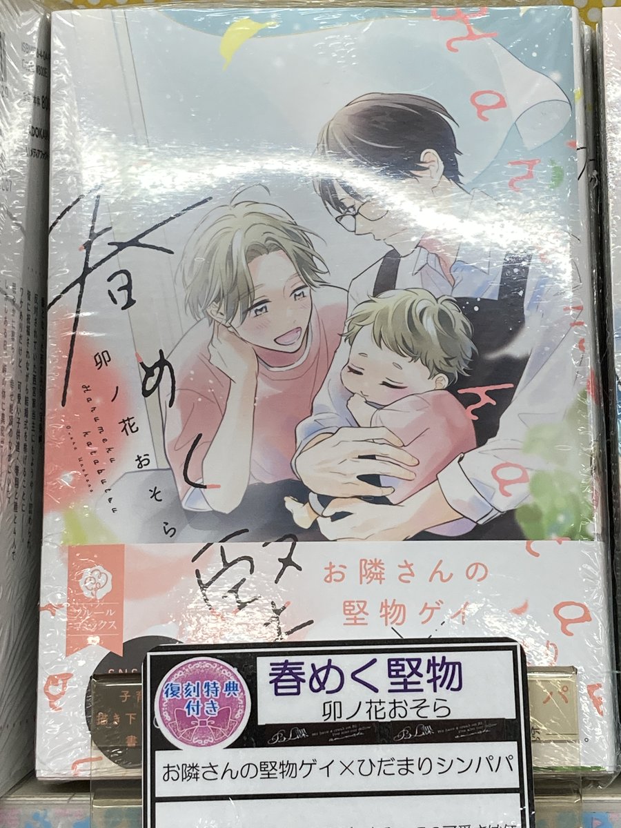 animatetktk's tweet photo. 【🆕5月 #BL課 コーナー🆕】  
／
📢好評開催中カツ～✨
🍃【恋も、家族も、きみとはんぶんこ。～#ファミリーBL特集～】🍃
＼

💚Pick Up Title💚
  #卯ノ花おそら 先生 
『 #春めく堅物 』

🌲BL課店舗限定🌲
発売時にお付けしていた特典を復刻してお渡し中です🎁✨ https://t.co/ohEh5ooMI3