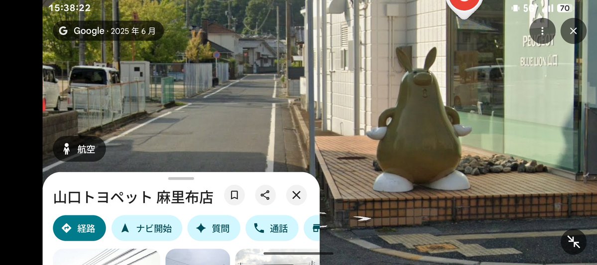 岩国マメ情報、トヨペットにイプサムがいる