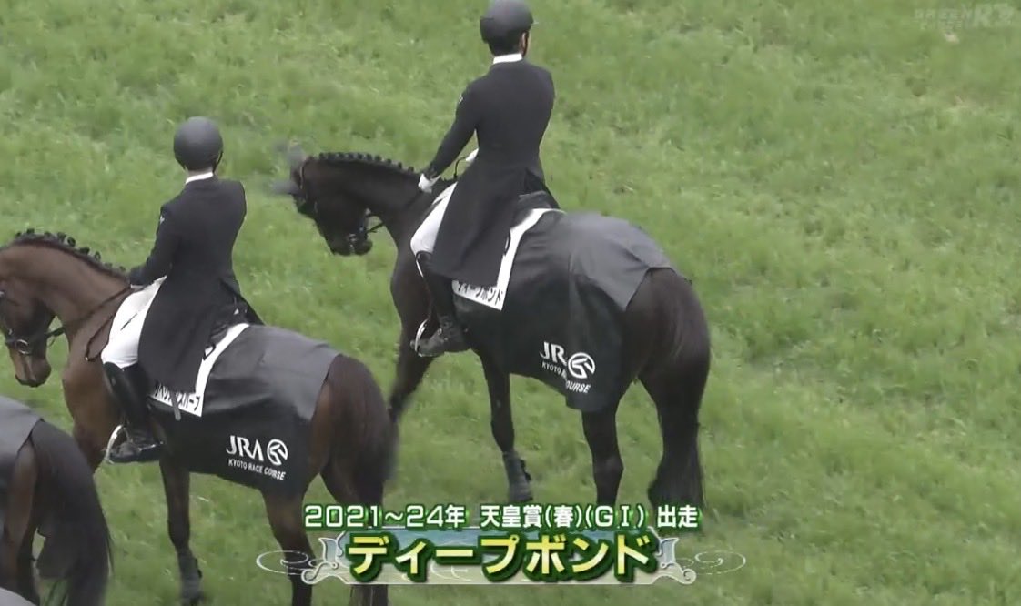TBanusy's tweet photo. ディープボンドが
春の天皇賞の誘導馬というのは激アツ https://t.co/KnRVuEh0HU