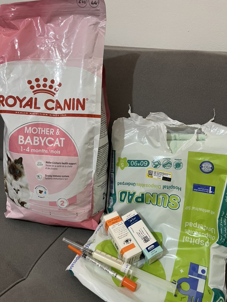Nazi_rz's tweet photo. من این بچه گربه رو دیروز پیدا کردم.از ارتفاع افتاده و پاش شکسته ۱۰روز باید دارو و غذای خوب بخوره تاآماده جراحی جهت پین گذاری شه.طول دوره درمان تخمینیش ۴۰روزه.
من به کمکتون نیازدارم و شمارو درجریان ریز مخارجش میذارم.
یه شماره کارت براش گذاشتیم👇🏻 و پی پل هم داریم که هرکس دوست/۱ https://t.co/e3mbyKaWkG