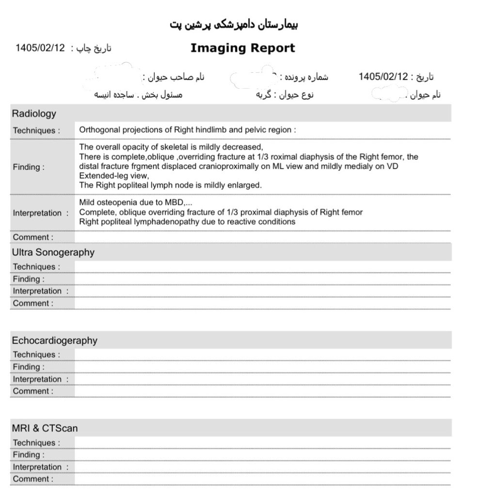 من این بچه گربه رو دیروز پیدا کردم.از ارتفاع افتاده و پاش شکسته ۱۰روز باید دارو و غذای خوب بخوره تاآماده جراحی جهت پین گذاری شه.طول دوره درمان تخمینیش ۴۰روزه.
من به کمکتون نیازدارم و شمارو درجریان ریز مخارجش میذارم.
یه شماره کارت براش گذاشتیم👇🏻 و پی پل هم داریم که هرکس دوست/۱