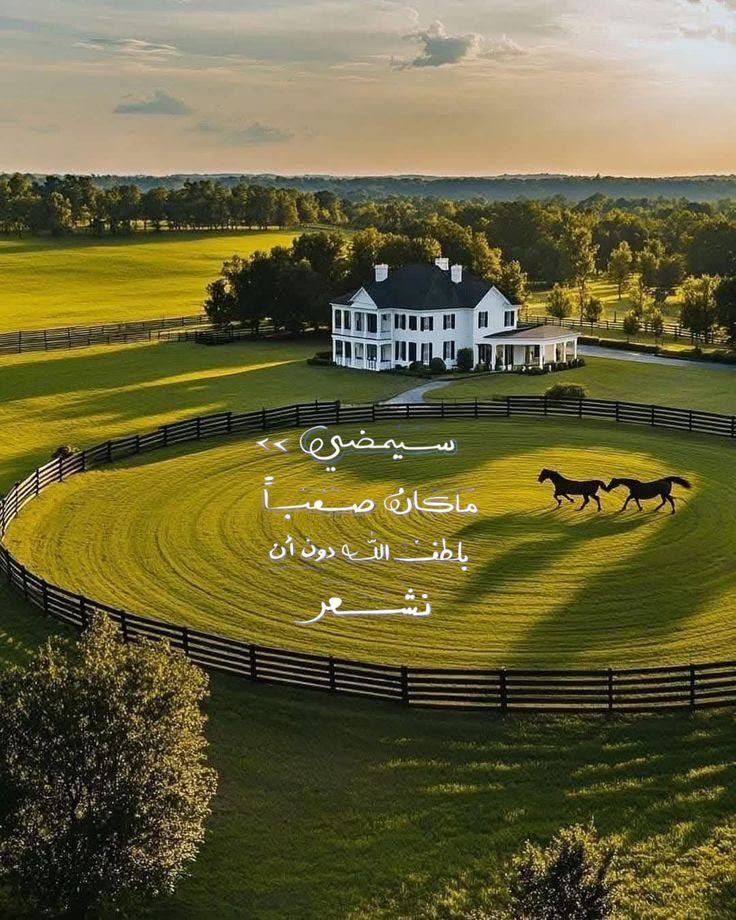 ڪَٰـُـٰٓشَٰـُـٰٓ مَٰـُـٰٓلَٰـُـٰٓڪَٰـُـٰٓ ♛ tweet media