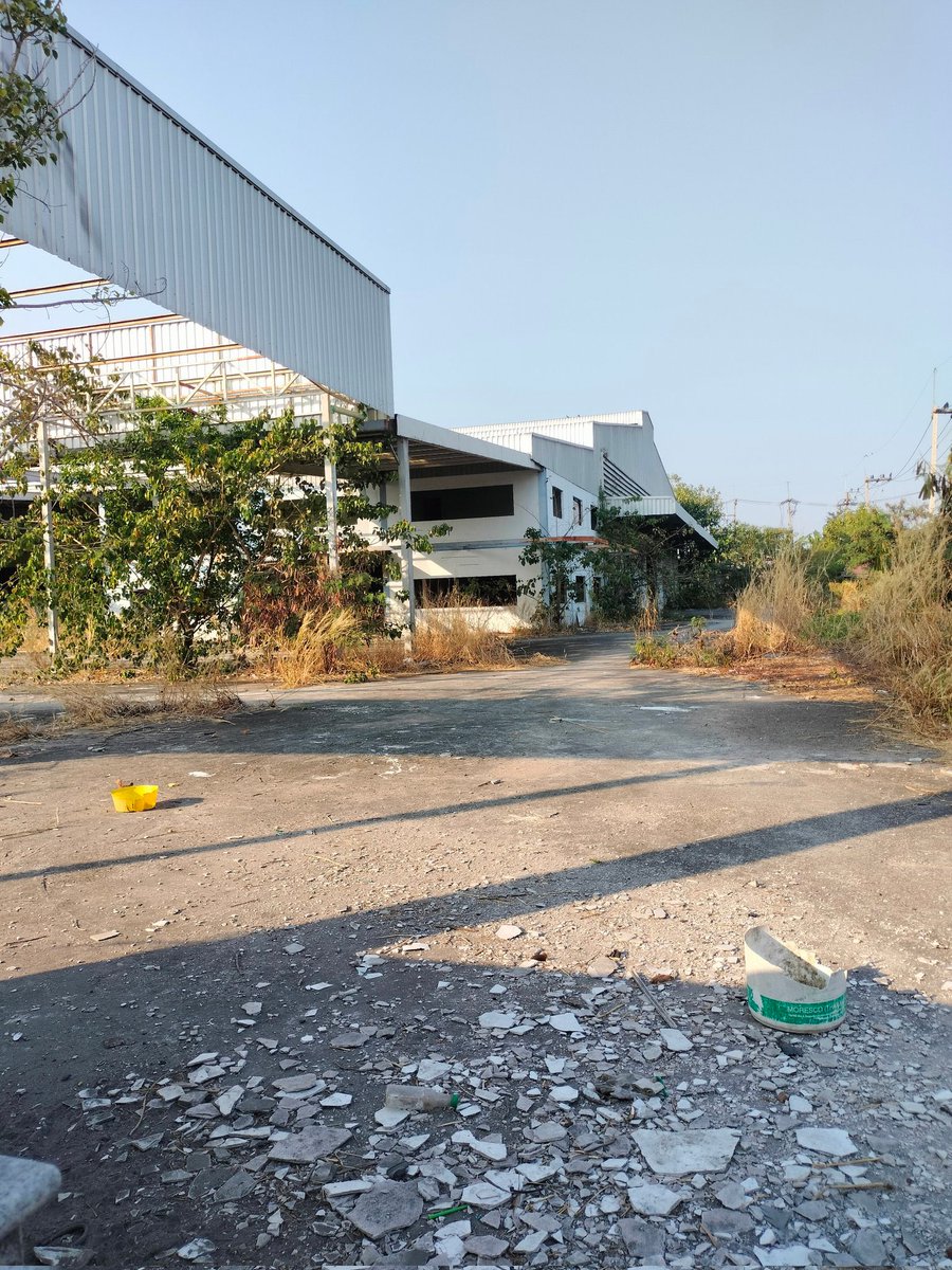 มิตรภาพ ชายเดี่ยว ดอนหัวฬ่อ tweet media