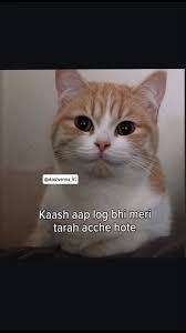hello friends tweet media