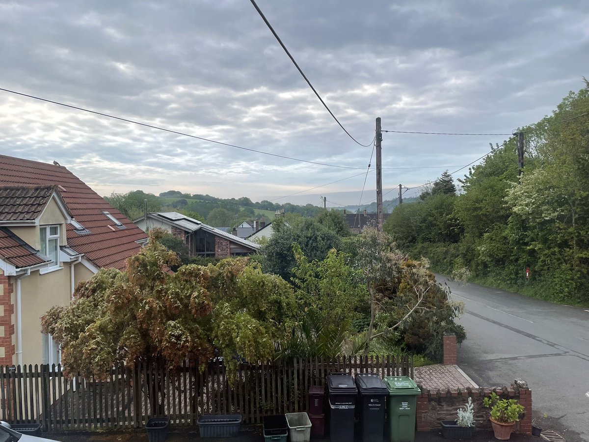 WgsCmc's tweet image. Morning, it’s a moody one today! 
@AlysonMeadowcr1 @PoppyAndMolly2 @Biscuit_Meow @AnnebrindleAnne @BrambleRamble4 @Foxelms @islandlyn #Cats #CatsofTwitter #CatsonTwitter #Hedgewatch