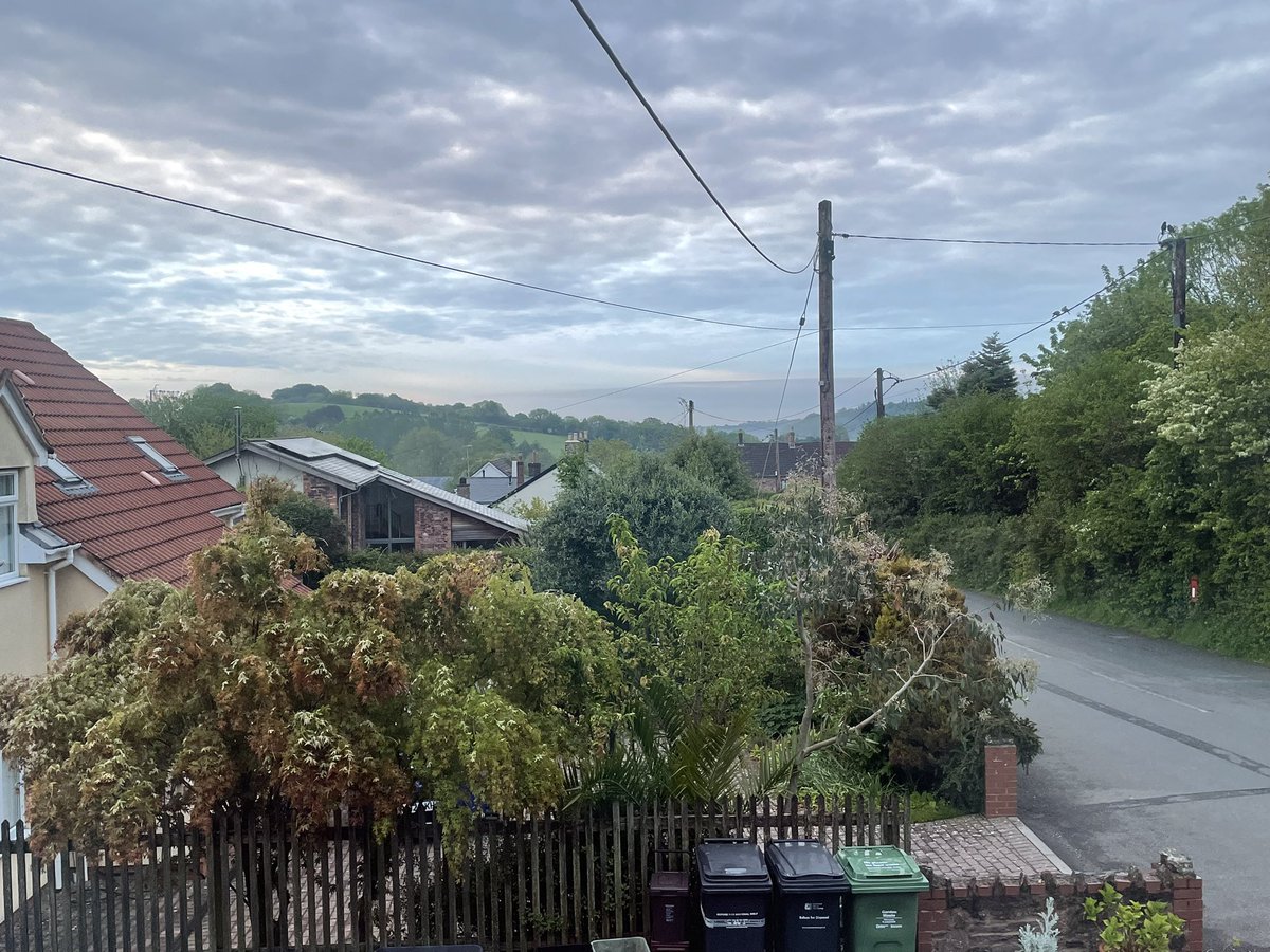 WgsCmc's tweet image. Morning, it’s a moody one today! 
@AlysonMeadowcr1 @PoppyAndMolly2 @Biscuit_Meow @AnnebrindleAnne @BrambleRamble4 @Foxelms @islandlyn #Cats #CatsofTwitter #CatsonTwitter #Hedgewatch