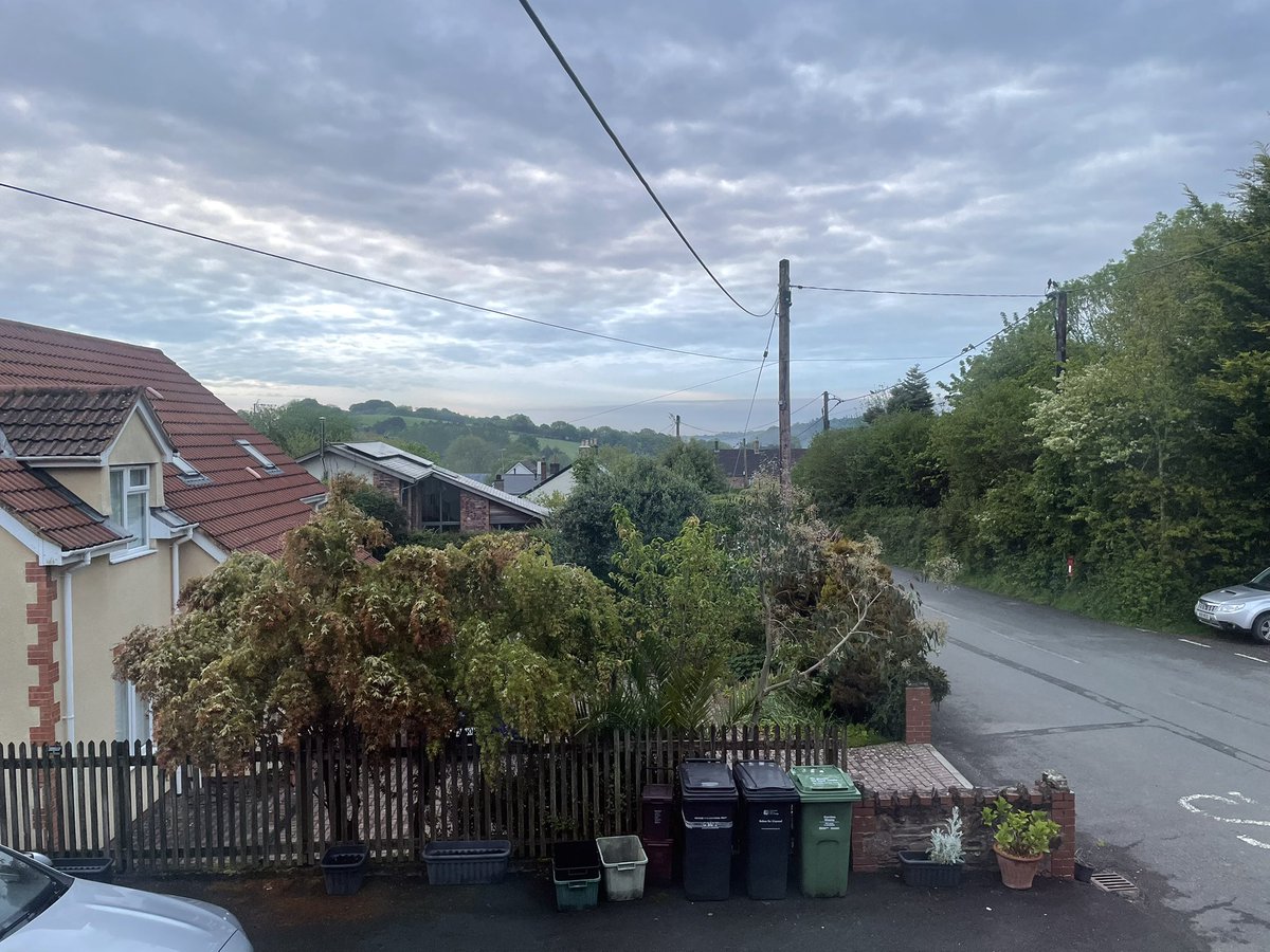 WgsCmc's tweet image. Morning, it’s a moody one today! 
@AlysonMeadowcr1 @PoppyAndMolly2 @Biscuit_Meow @AnnebrindleAnne @BrambleRamble4 @Foxelms @islandlyn #Cats #CatsofTwitter #CatsonTwitter #Hedgewatch