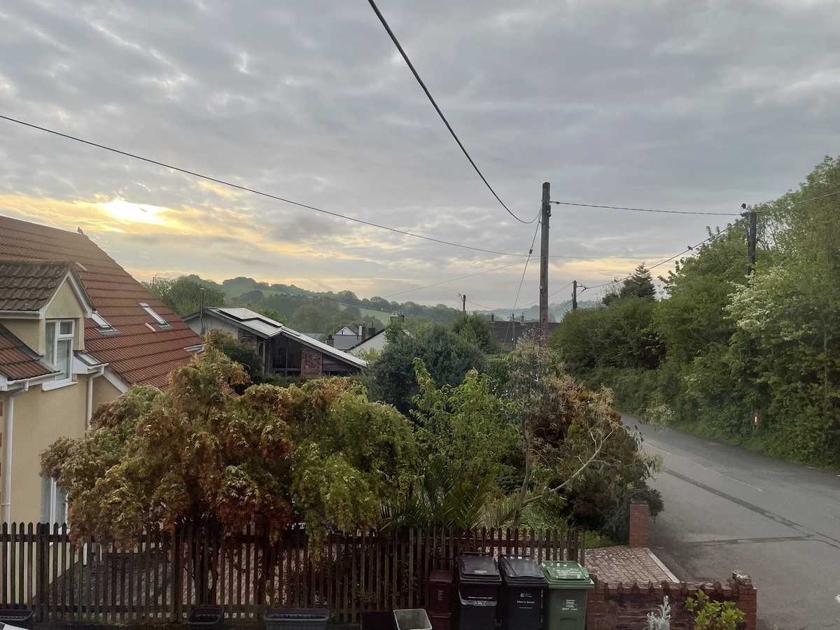 WgsCmc's tweet image. Morning, it’s a moody one today! 
@AlysonMeadowcr1 @PoppyAndMolly2 @Biscuit_Meow @AnnebrindleAnne @BrambleRamble4 @Foxelms @islandlyn #Cats #CatsofTwitter #CatsonTwitter #Hedgewatch