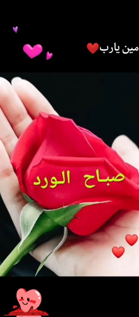 {{ برق_الخيال}} tweet media