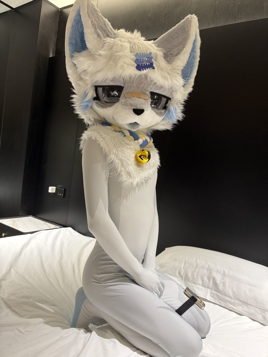 沈莫 tweet media