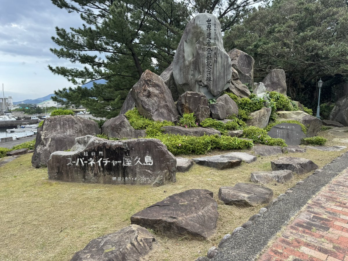 riraoga's tweet photo. さらば屋久島！
#屋久島 https://t.co/drsFmRC7zZ