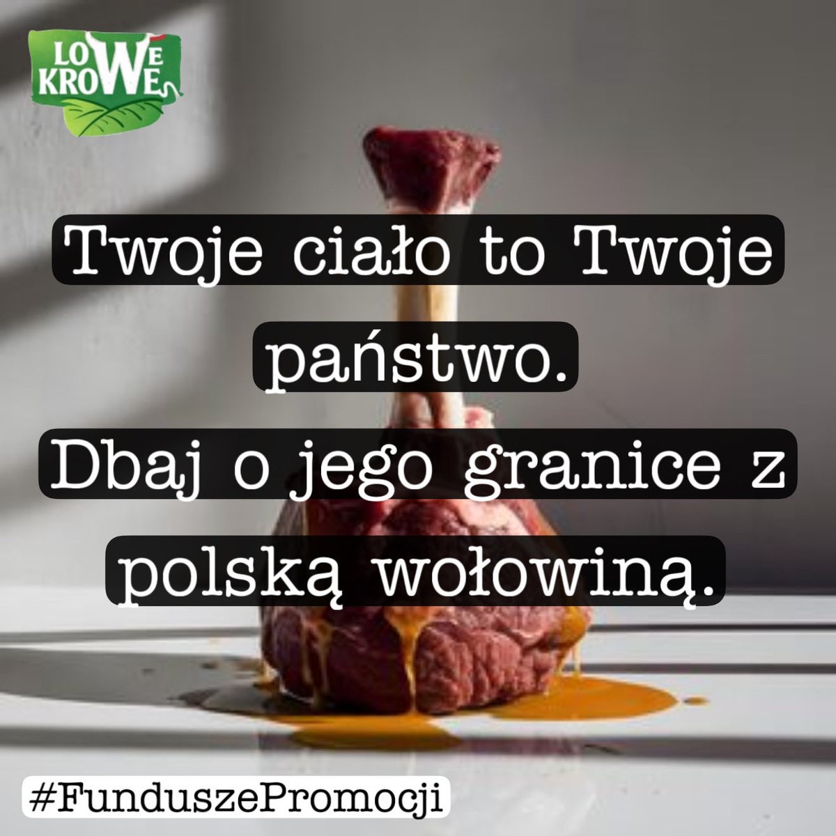 Lowe Krowe tweet media