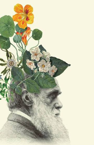 Botanitopya tweet media