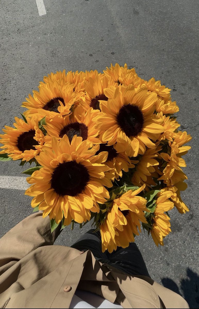 SUNFLOWER 🌻 tweet media