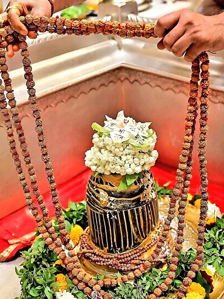 रोहन तिवारी tweet media