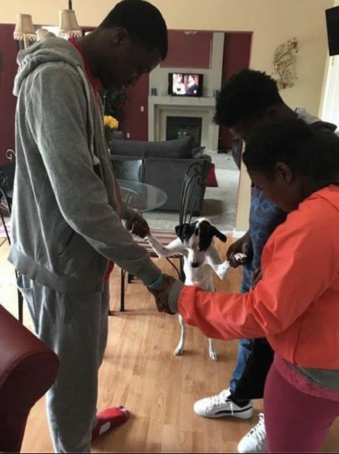 Dog-Lover tweet media