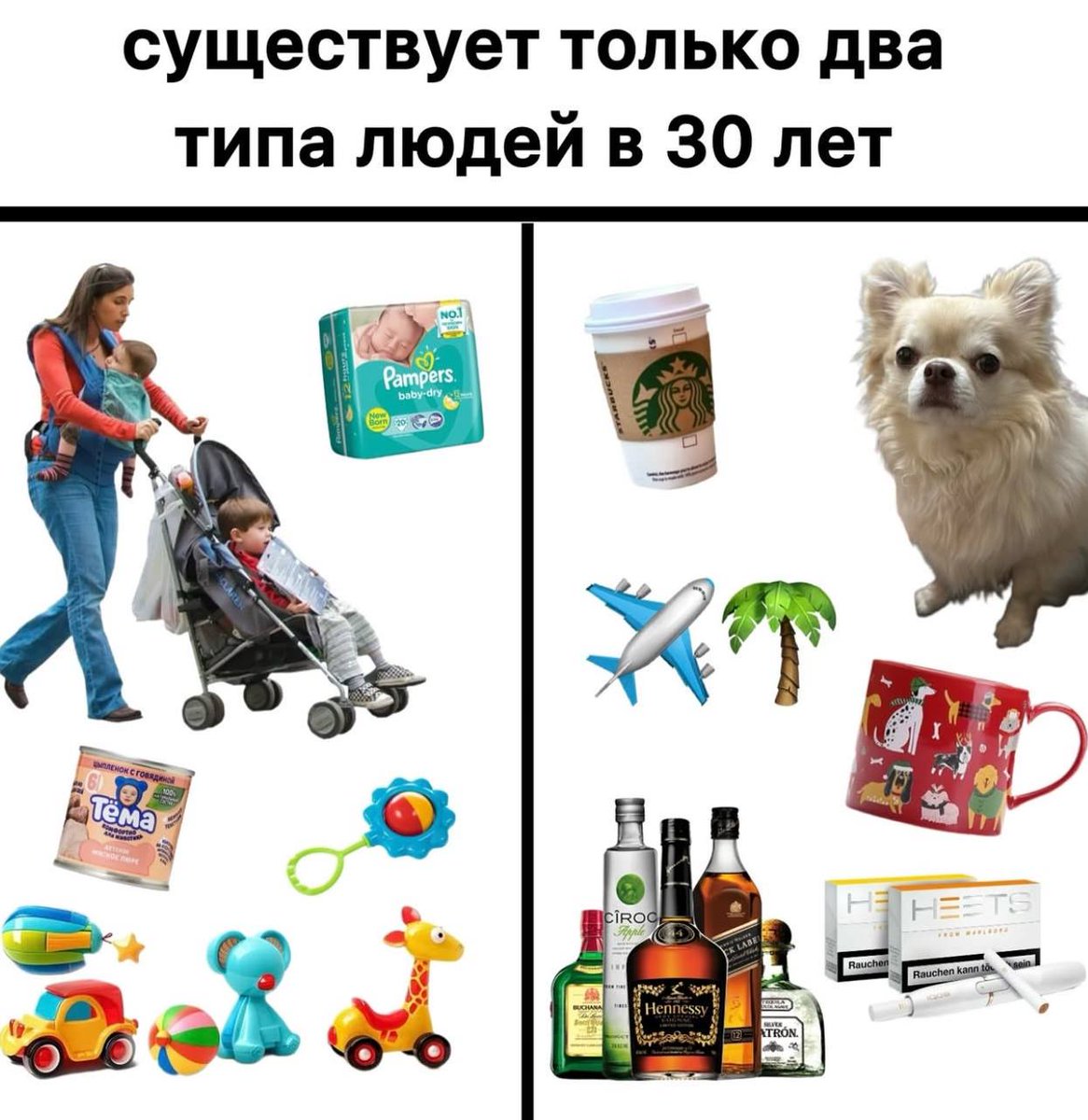 Элишкa tweet media