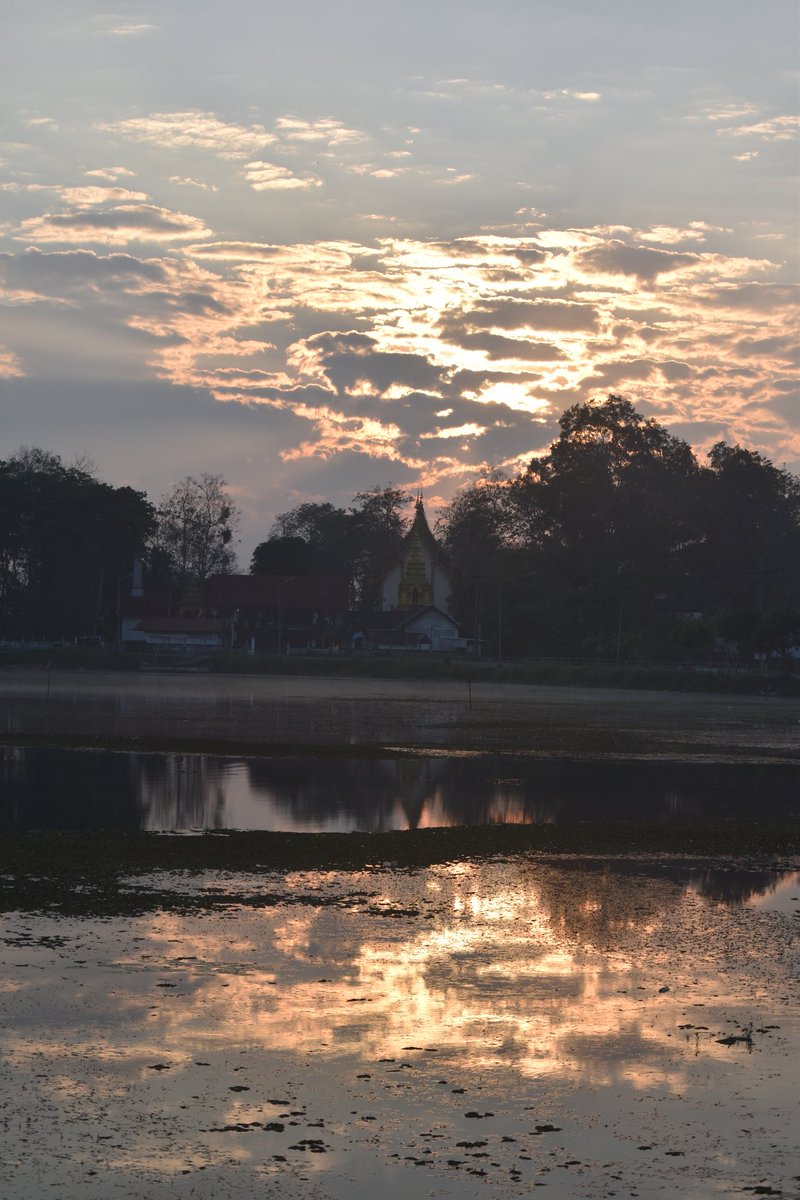Cerberane's tweet image. More Lovely views from one of my morning #walks around อ่างเก็บน้ำหนองบัว in late February 
วิวสวยๆ จากการเดินเที่ยวรอบๆ อ่างเก็บน้ำหนองบัวช่วงปลายเดือนกุมภาพันธ์
#sunrise 
#lake
#mountains
#birds
#temple 
#nature
#naturelovers
#naturephotography